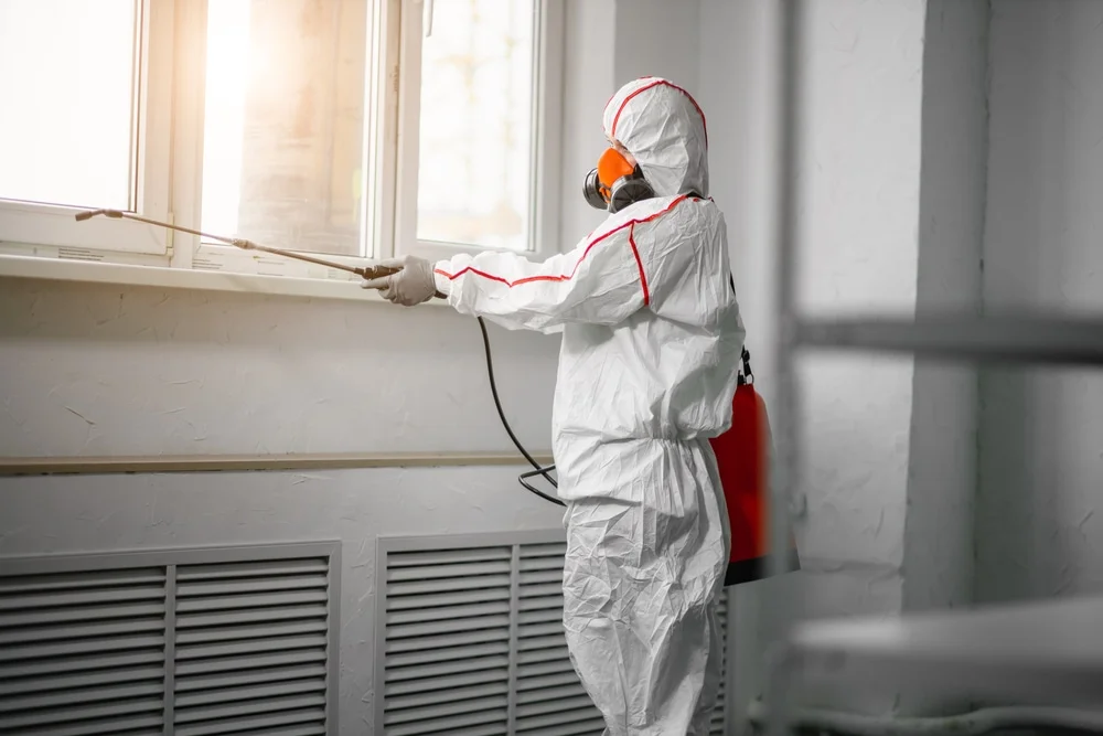 Professional mold remediation services in Manawa, WI